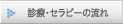 診療・セラピーの流れ